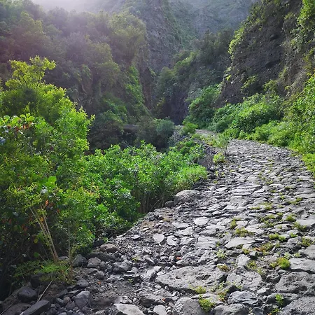 Arena * קנדלריה